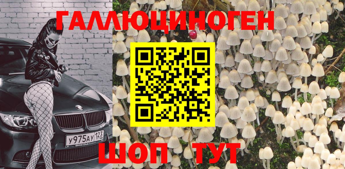Галлюциногенные грибы мухоморы Мичуринск